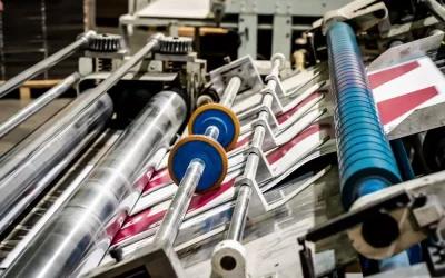 shutterstock_2334210823 shutterstock_2334210823